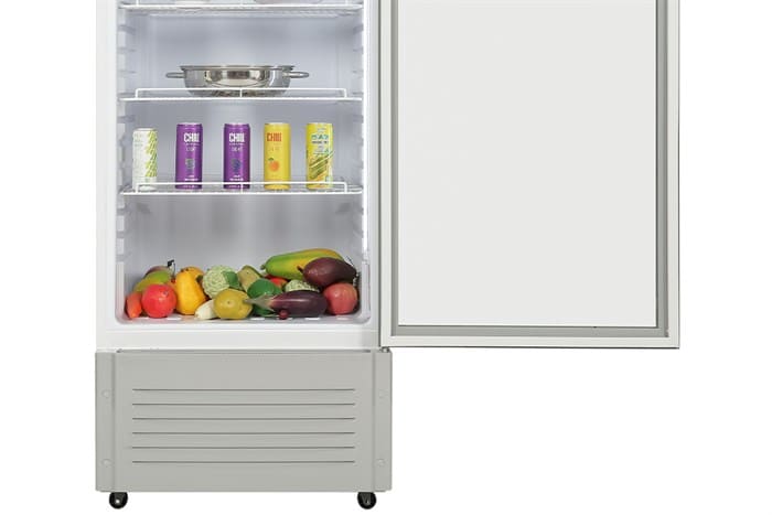 Tủ mát Hoà Phát 280 lít HSR D6280